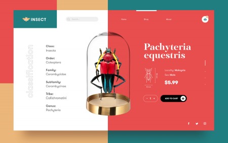Tại sao chất lượng của trang web lại quan trọng?